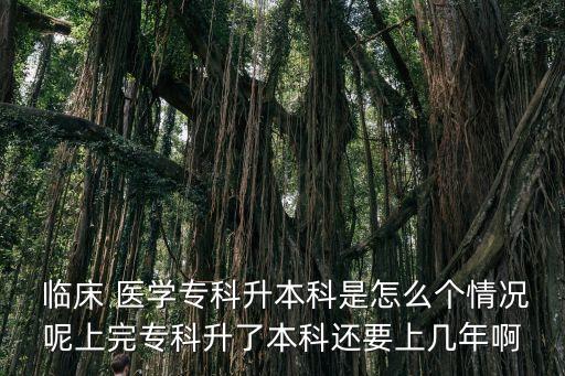  臨床 醫(yī)學(xué)?？粕究剖窃趺磦€(gè)情況呢上完?？粕吮究七€要上幾年啊