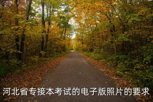 專升本畢業(yè)證照片