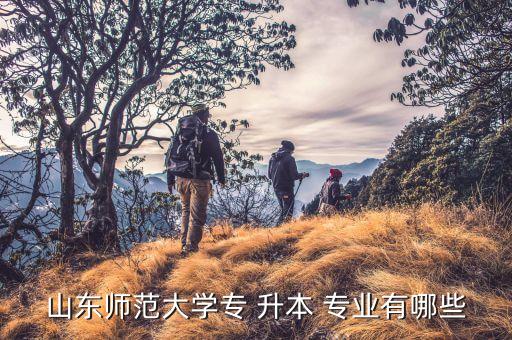 山東師范大學(xué)專 升本 專業(yè)有哪些