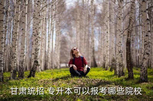 甘肅統(tǒng)招 專升本可以報考哪些院校