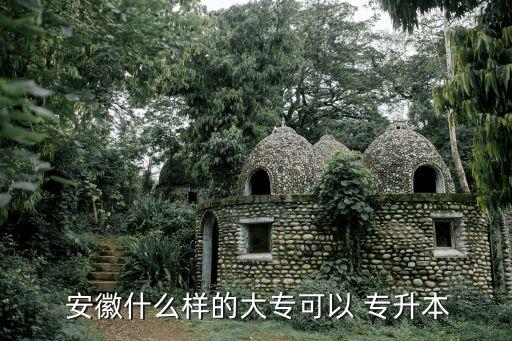  安徽什么樣的大?？梢?專升本