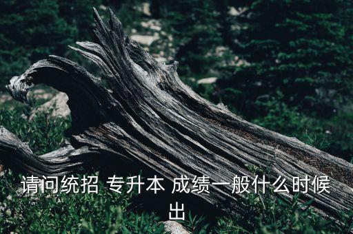 請(qǐng)問統(tǒng)招 專升本 成績一般什么時(shí)候出