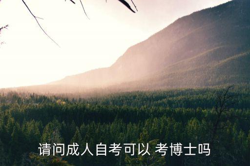 請問成人自考可以 考博士嗎