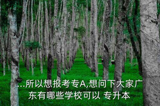 ...所以想報(bào)考專A,想問下大家廣東有哪些學(xué)?？梢?專升本