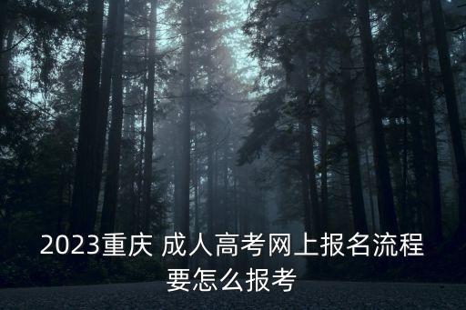 2023重慶 成人高考網(wǎng)上報名流程要怎么報考