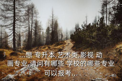...想 專升本,藝術(shù)類,影視 動畫專業(yè),請問有哪些 學校的哪些專業(yè)可以報考...