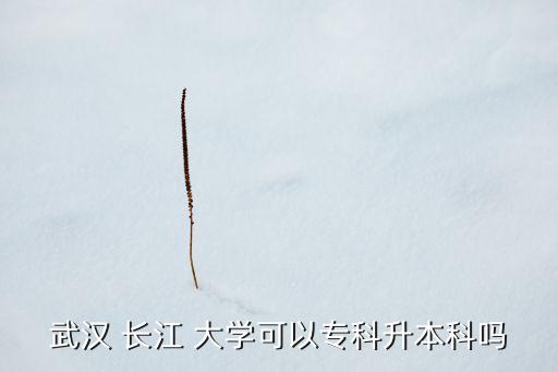 武漢 長江 大學(xué)可以?？粕究茊? class=