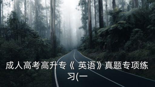 成人高考高升專《 英語(yǔ)》真題專項(xiàng)練習(xí)(一