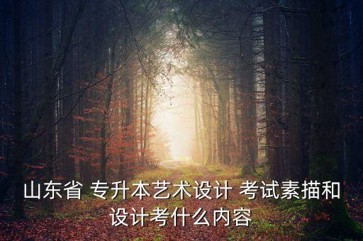 山東省 專升本藝術(shù)設(shè)計 考試素描和設(shè)計考什么內(nèi)容