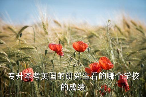 專升本考研留學