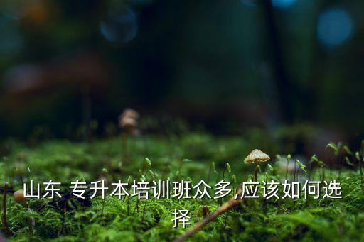 山東 專升本培訓班眾多,應該如何選擇