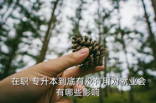  在職 專升本到底有沒有用對(duì)就業(yè)會(huì)有哪些影響