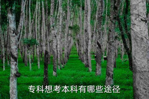 專科想考本科有哪些途徑