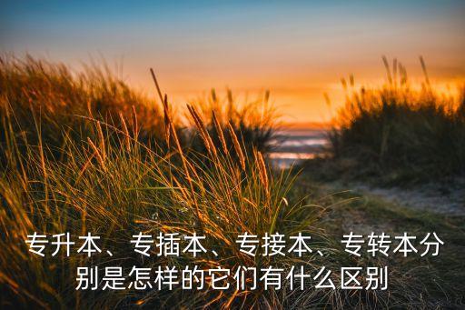  專升本、專插本、專接本、專轉(zhuǎn)本分別是怎樣的它們有什么區(qū)別