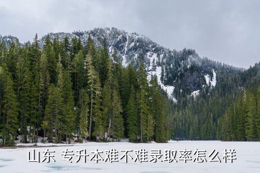  山東 專升本難不難錄取率怎么樣
