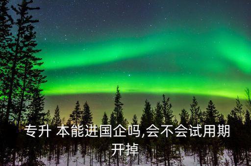 專升本能進國家電網(wǎng)嗎,國家電網(wǎng)承認(rèn)專升本嗎