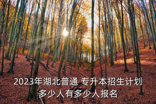 2023年湖北普通 專升本招生計(jì)劃多少人有多少人報(bào)名