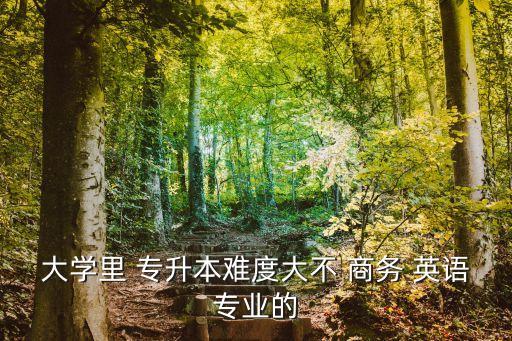 大學里 專升本難度大不 商務 英語專業(yè)的