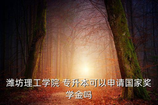 濰坊理工學(xué)院 專升本可以申請(qǐng)國(guó)家獎(jiǎng)學(xué)金嗎