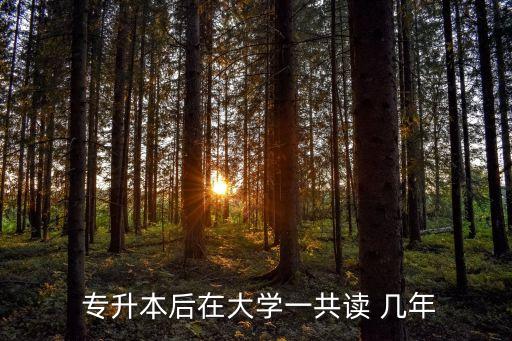  專升本后在大學一共讀 幾年