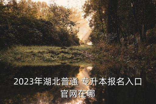 2023年湖北普通 專升本報名入口官網(wǎng)在哪