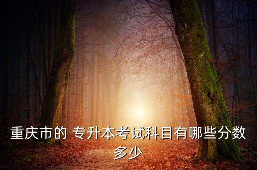 重慶市的 專升本考試科目有哪些分數(shù)多少