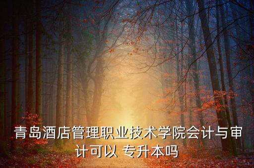  青島酒店管理職業(yè)技術(shù)學(xué)院會計(jì)與審計(jì)可以 專升本嗎