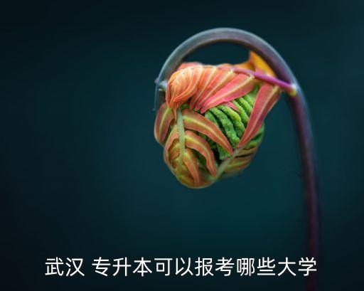 湖北省人專升本的學(xué)校,2023年湖北省專升本學(xué)校及專業(yè)