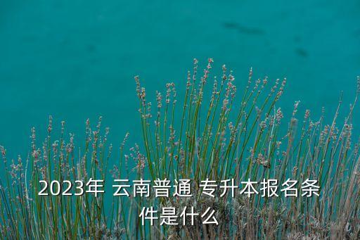 2023年 云南普通 專升本報名條件是什么