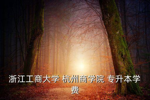 浙江工商大學(xué) 杭州商學(xué)院 專升本學(xué)費