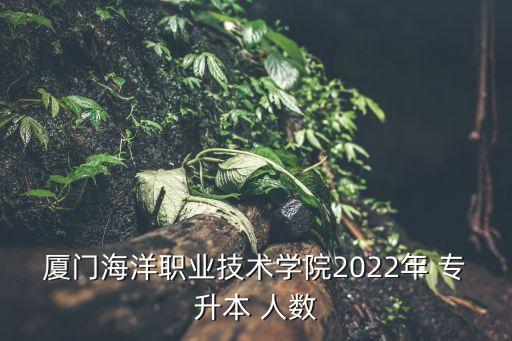 廈門海洋職業(yè)技術(shù)學(xué)院2022年 專升本 人數(shù)