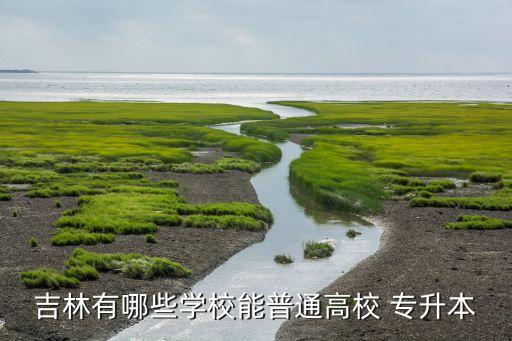 東北大學專升本多少人,美國東北大學專升本