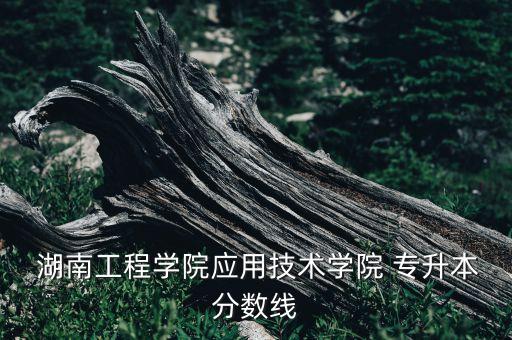  湖南工程學(xué)院應(yīng)用技術(shù)學(xué)院 專升本分?jǐn)?shù)線