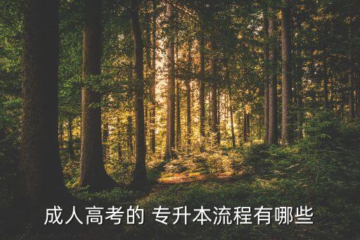 成人高考的 專升本流程有哪些