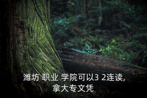  濰坊 職業(yè) 學(xué)院可以3 2連讀,拿大專文憑