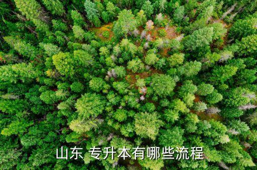  山東 專升本有哪些流程