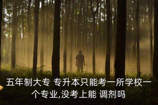 五年制大專 專升本只能考一所學校一個專業(yè),沒考上能 調(diào)劑嗎