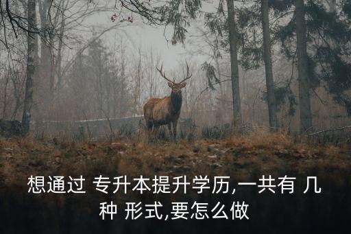 想通過 專升本提升學歷,一共有 幾種 形式,要怎么做