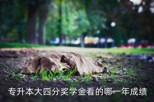  專升本大四分獎(jiǎng)學(xué)金看的哪一年成績(jī)