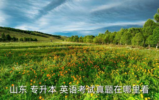 2016年專升本函授英語試卷,2022年專升本專業(yè)英語試卷