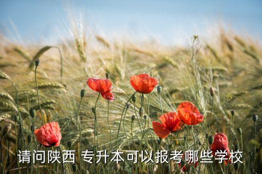 請問陜西 專升本可以報考哪些學校