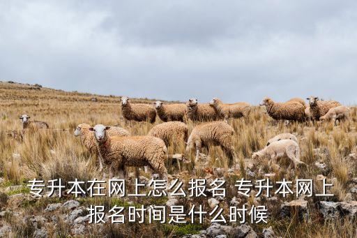 淘寶的專升本,淘寶專升本二百一科網(wǎng)課怎么樣
