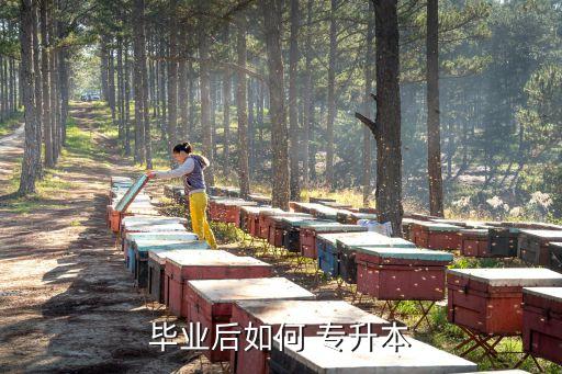 畢業(yè)后如何 專升本