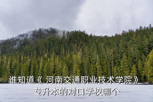 誰知道《 河南交通職業(yè)技術(shù)學院》 專升本的對口學校哪個