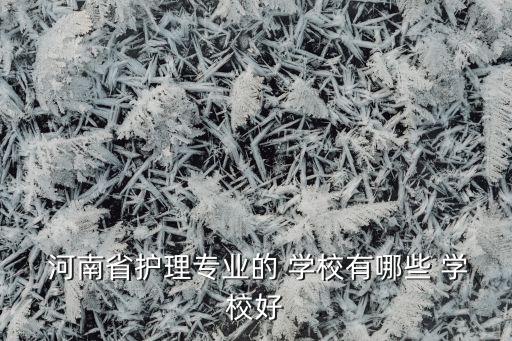  河南省護理專業(yè)的 學校有哪些 學校好