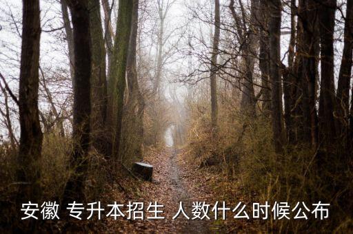 安徽 專升本招生 人數(shù)什么時候公布