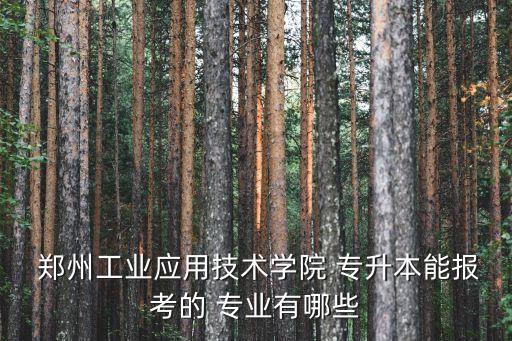  鄭州工業(yè)應(yīng)用技術(shù)學(xué)院 專升本能報(bào)考的 專業(yè)有哪些