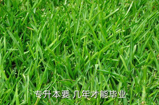  專升本要 幾年才能畢業(yè)
