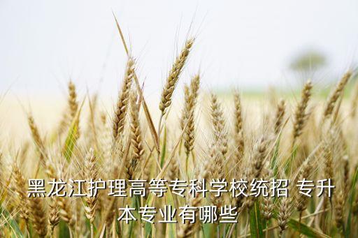  黑龍江護(hù)理高等專(zhuān)科學(xué)校統(tǒng)招 專(zhuān)升本專(zhuān)業(yè)有哪些