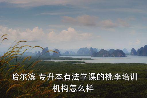  哈爾濱 專升本有法學(xué)課的桃李培訓(xùn)機(jī)構(gòu)怎么樣